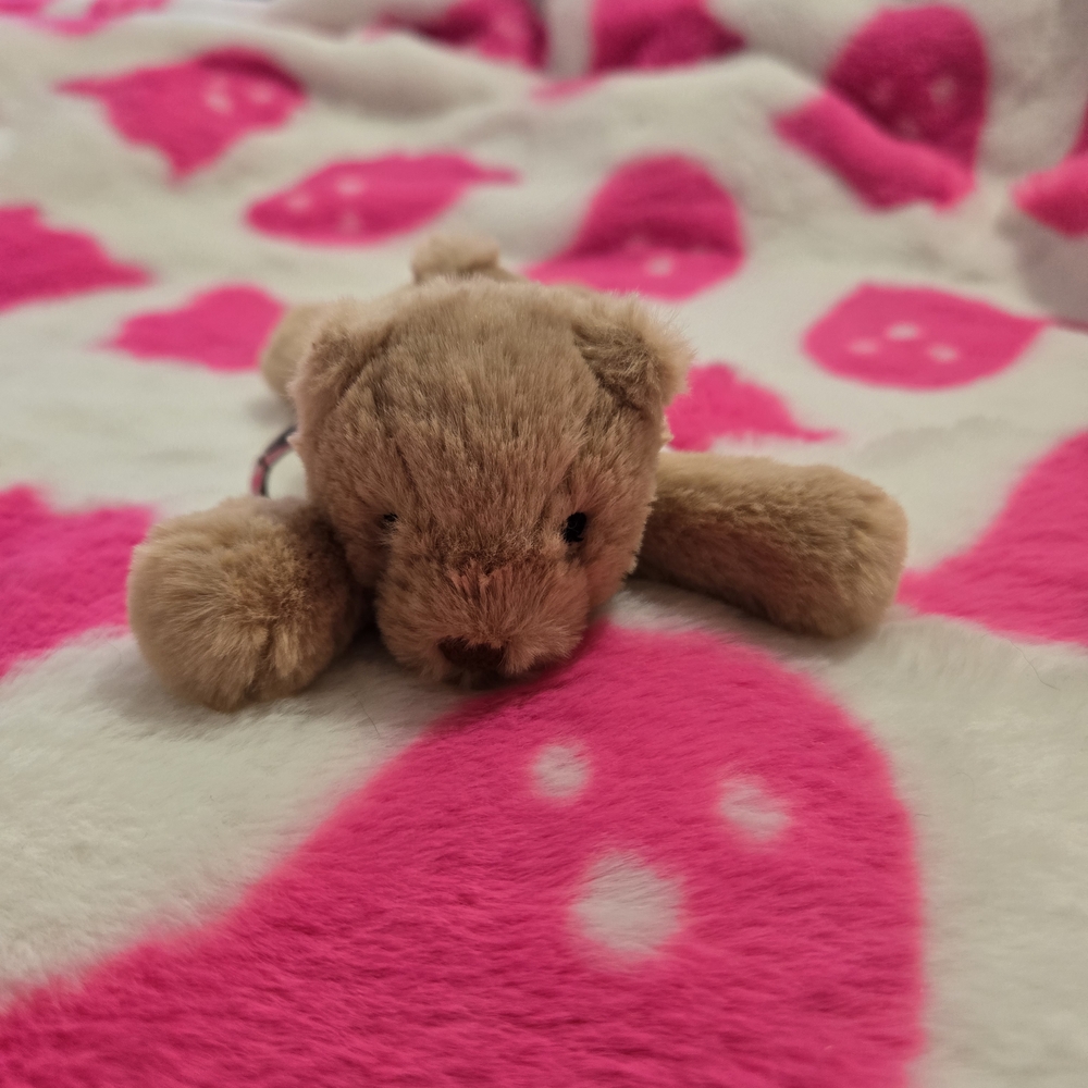 Jellycat Smudge Bear Keychain